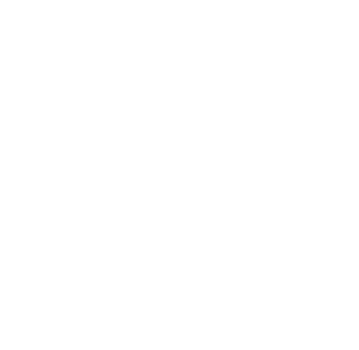 Surf Swingers